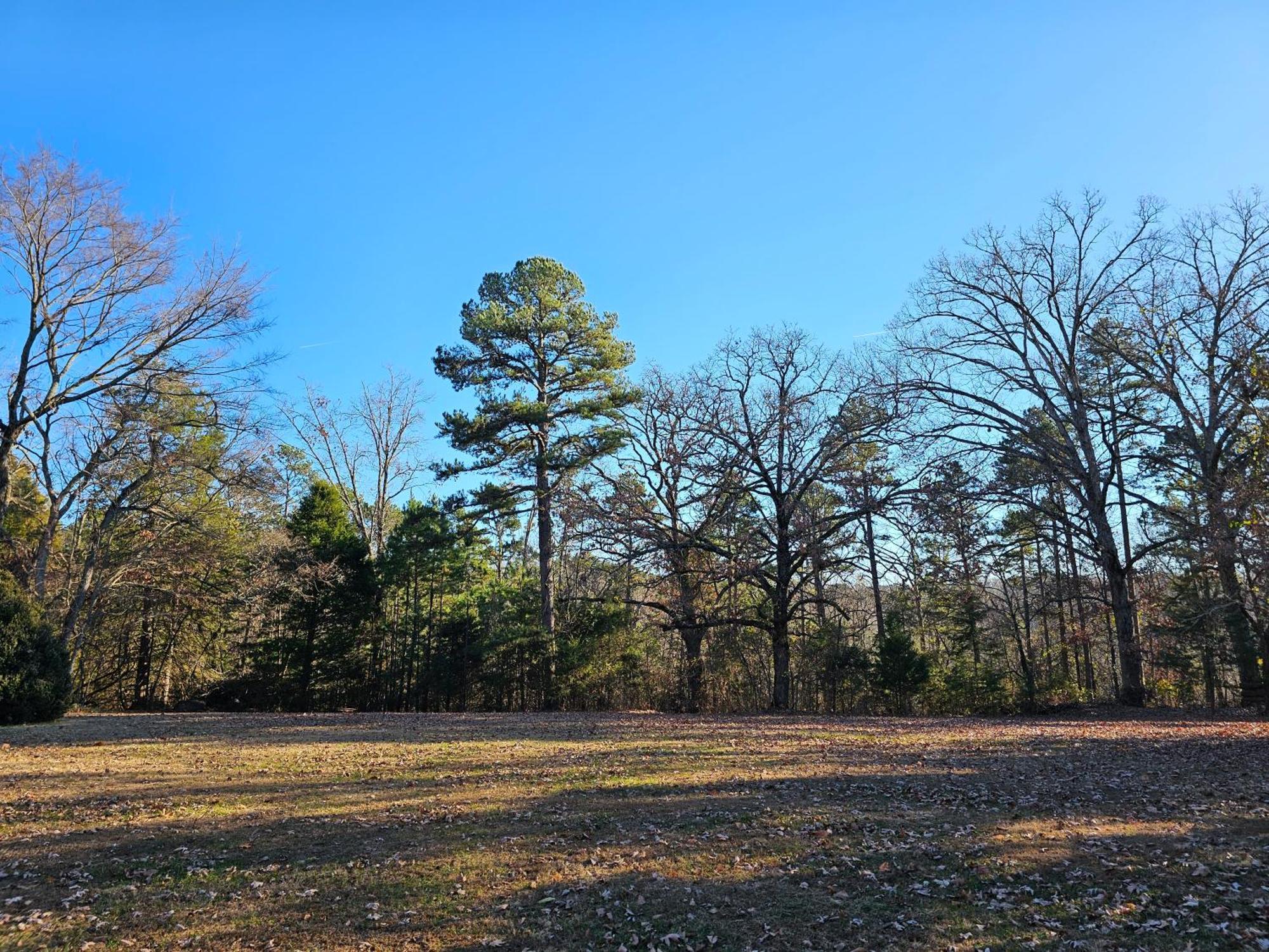 5 Min To Beaver Lake-King Bed-Fire Pit-Jetted Tub #2 Eureka Springs Exterior foto